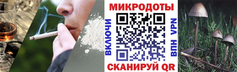 Псилоцибиновые грибы мухоморы Дубна