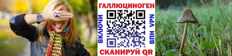 Псилоцибиновые грибы прущие грибы продажа наркотиков Дубна